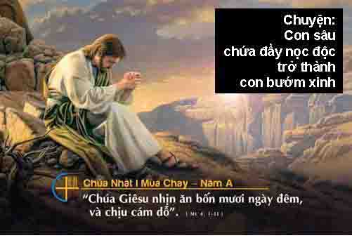 Chuyện Minh Họa Tin Mừng Chúa Nhật  MC 01 A: Bài 248 Con sâu chứa đầy nọc độc sẽ trở thành con bướm xinh