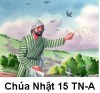 Suy niệm Tin Mừng Chúa Nhật TN 15-A: Bài 151-182: Kìa, có người gieo giống đi gieo lúa