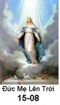 Suy niệm Tin Mừng Lễ Đức Mẹ Hồn Xác lên Trời 15-8 Bài 151-187 Đức Maria lên trời, niềm hy vọng của chúng ta