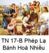 Suy Niệm Tin Mừng Chúa Nhật TN 17-B: Bài 201-207 Người phân phát cho các kẻ ngồi ăn, ai muốn bao nhiêu tuỳ thích