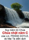 Suy niệm Tin Mừng Chúa Nhật năm C Frank Doyle Sj