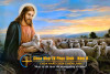 Chuyện Minh Họa Tin Mừng Chúa Nhật Bài 150 Phục Sinh 4-B Chuyện Tôi không muốn được gọi là con chiên của Chúa