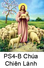 Suy Niệm Tin Mừng Chúa Nhật PS 4-B Bài 101-155 Chúa Nhật Chúa Chiên Lành Cầu cho ơn thiên triệu Linh mục và tu sĩ