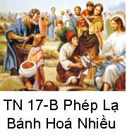 Suy Niệm Tin Mừng Chúa Nhật TN 17-B Bài 151-192 Chúa Giêsu làm phép lạ nhân 5 cái bánh và 2 con cá nuôi 5000 người ăn no