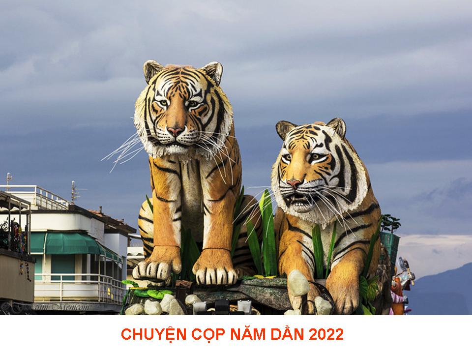 CHUYỆN CỌP NĂM DẦN 2022 - Đời Đạo 142