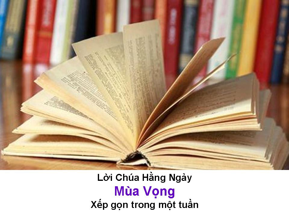 Suy Niệm Lời Chúa Hằng Ngày  xếp gọn trong Tuần 3-2024 Mùa Vọng