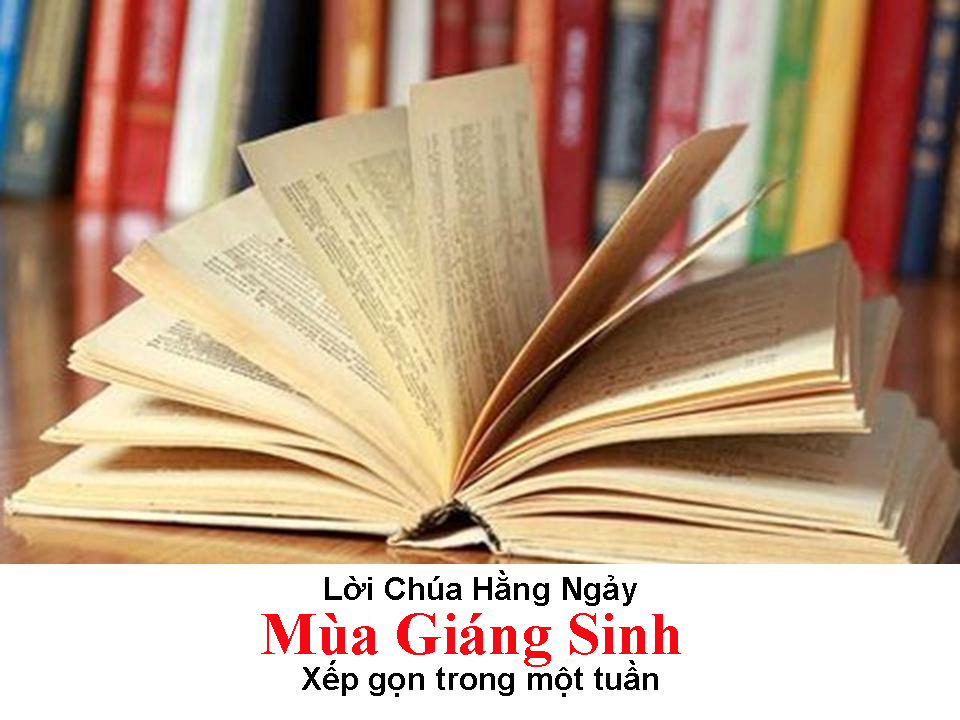 Suy Niệm Lời Chúa Hằng Ngày - Xép gọn trong Tuần 2-2024 Mùa Giáng Sinh