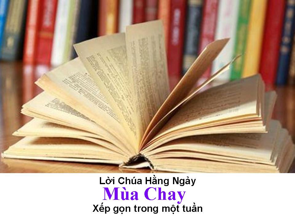 Suy Niệm Lời Chúa Hằng Ngày  Xếp gọn trong Tuần 4 MC -2024